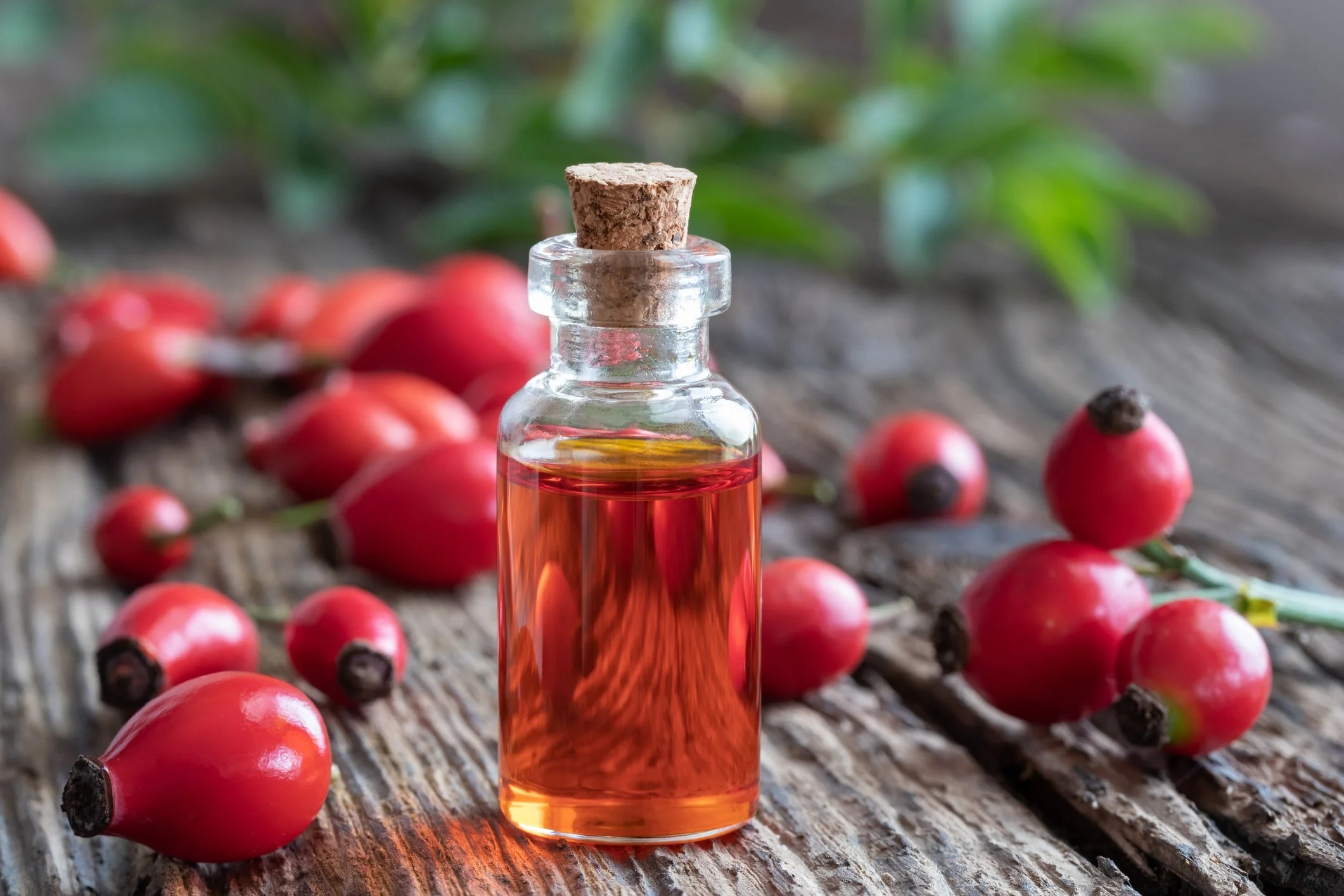 Benefits of Buying Bulk Sandalwood Oil and Bulk Rose Oil