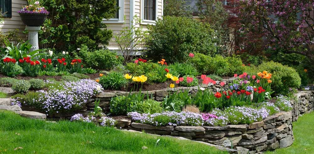 How to Choose a Garden Designer in Reigate
