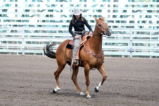 Best Cowgirl Chaps For Women Who Love Western Wear