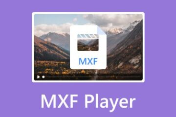 Vidmore Player The Ultimate Media Player for Every Media Enthusiast