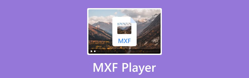 Vidmore Player The Ultimate Media Player for Every Media Enthusiast